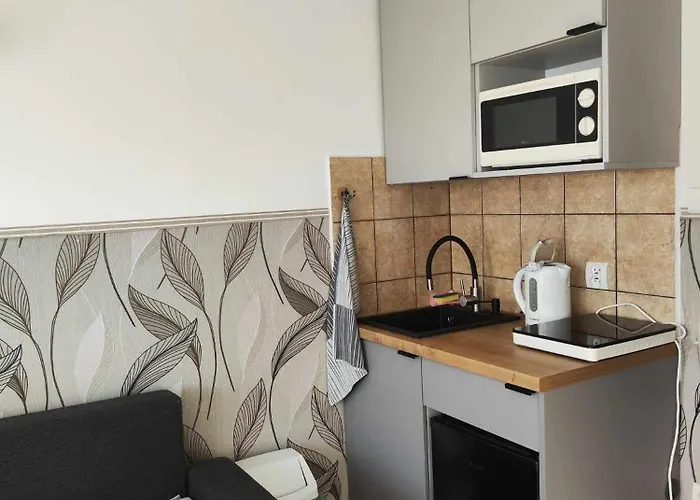 Arnika Wynajem Pokoi Accommodatie bij particulieren Zakopane